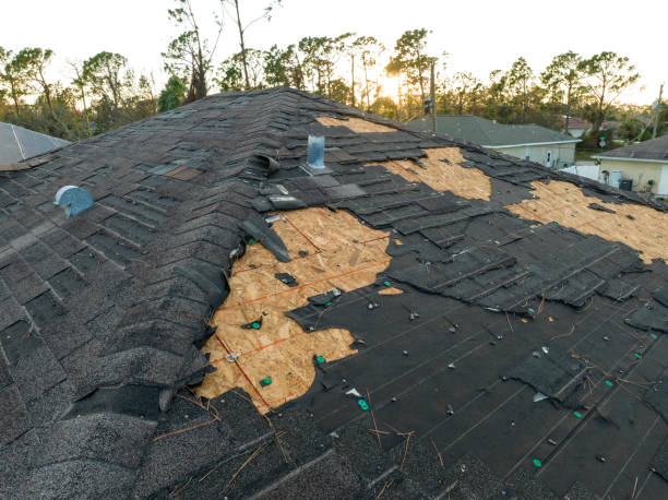 Best Green or Eco-Friendly Roofing Solutions  in USA